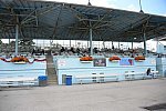 Dressage-at-Devon-9-27-13-4766-DDeRosaPhoto