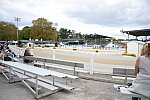 Dressage-at-Devon-9-27-13-4768-DDeRosaPhoto