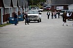 Dressage-at-Devon-9-27-13-4778-DDeRosaPhoto