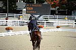 Dressage-at-Devon-9-27-13-4791-DDeRosaPhoto