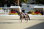 Dressage-at-Devon-9-27-13-4797-DDeRosaPhoto