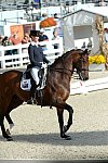 Dressage-at-Devon-9-27-13-4807-DDeRosaPhoto