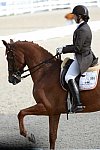 Dressage-at-Devon-9-27-13-4818-DDeRosaPhoto