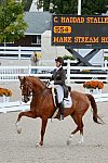 Dressage-at-Devon-9-27-13-4840-DDeRosaPhoto