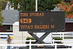 Dressage-at-Devon-9-27-13-4842-DDeRosaPhoto