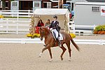 Dressage-at-Devon-9-27-13-4856-DDeRosaPhoto