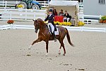 Dressage-at-Devon-9-27-13-4881-DDeRosaPhoto