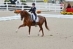 Dressage-at-Devon-9-27-13-4882-DDeRosaPhoto
