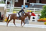 Dressage-at-Devon-9-27-13-4884-DDeRosaPhoto