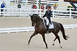 Dressage-at-Devon-9-27-13-4920-DDeRosaPhoto