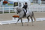 Dressage-at-Devon-9-27-13-4936-EviStrasser-RenaissanceTyme-DDeRosaPhoto