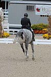 Dressage-at-Devon-9-27-13-4947-EviStrasser-RenaissanceTyme-DDeRosaPhoto