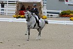 Dressage-at-Devon-9-27-13-4956-EviStrasser-RenaissanceTyme-DDeRosaPhoto