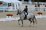 Dressage-at-Devon-9-27-13-4963-EviStrasser-RenaissanceTyme-DDeRosaPhoto