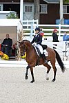 Dressage-at-Devon-9-27-13-4974-JillIrving-Degas12-DDeRosaPhoto