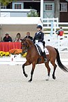 Dressage-at-Devon-9-27-13-4975-JillIrving-Degas12-DDeRosaPhoto