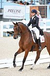 Dressage-at-Devon-9-27-13-4984-JillIrving-Degas12-DDeRosaPhoto