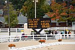 Dressage-at-Devon-9-27-13-4988-JillIrving-Degas12-DDeRosaPhoto