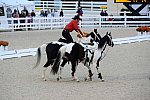 Dressage-at-Devon-9-27-13-4992-DDeRosaPhoto
