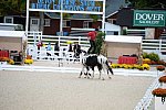 Dressage-at-Devon-9-27-13-4994-DDeRosaPhoto