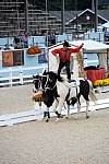 Dressage-at-Devon-9-27-13-5005-DDeRosaPhoto