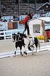 Dressage-at-Devon-9-27-13-5006-DDeRosaPhoto