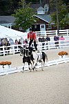Dressage-at-Devon-9-27-13-5009-DDeRosaPhoto