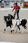 Dressage-at-Devon-9-27-13-5012-DDeRosaPhoto