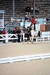 Dressage-at-Devon-9-27-13-5014-DDeRosaPhoto