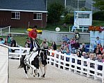 Dressage-at-Devon-9-27-13-5021-DDeRosaPhoto
