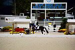 Dressage-at-Devon-9-27-13-5036-DDeRosaPhoto