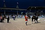 Dressage-at-Devon-9-27-13-5049-DDeRosaPhoto
