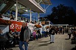 Dressage-at-Devon-9-27-13-5056-DDeRosaPhoto