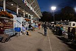 Dressage-at-Devon-9-27-13-5059-DDeRosaPhoto