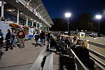 Dressage-at-Devon-9-27-13-5061-DDeRosaPhoto