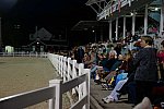 Dressage-at-Devon-9-27-13-5066-DDeRosaPhoto