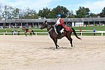 EQUSA-10-01-2021-4012-DDeRosaPhoto