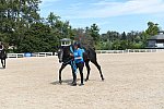 EQUSA-10-01-2021-4056-DDeRosaPhoto