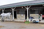 EQUITANA-10-03-21-4437-DDEROSAPHOTO