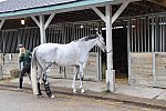 EQUITANA-10-03-21-4439-DDEROSAPHOTO
