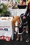 EQUITANA-10-03-21-4589-DDEROSAPHOTO