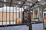 EQUITANA-10-03-21-4699-DDEROSAPHOTO