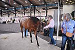 EQUITANA-10-03-21-4702-DDEROSAPHOTO