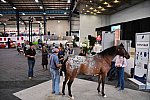 EQUITANA-10-03-21-4706-DDEROSAPHOTO