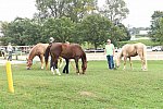 EQUSA-10-02-2021-4239-DDeRosaPhoto
