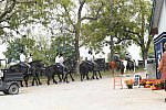 EQUSA-10-02-2021-4257-DDeRosaPhoto