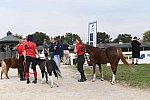 EQUSA-10-02-2021-4275-DDeRosaPhoto