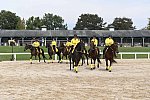 EQUSA-10-02-2021-4280-DDeRosaPhoto