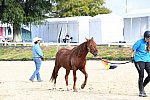 EQUSA-10-02-2021-4366-DDeRosaPhoto