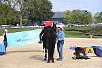 EQUSA-10-02-2021-4383-DDeRosaPhoto
